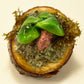 Mushroom Sculptures with Real Moss on Real Wood Slices Polymer Clay Epoxy Resin
