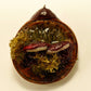 Mushroom Sculptures with Real Moss on Real Wood Slices Polymer Clay Epoxy Resin
